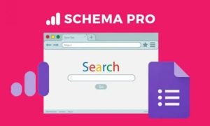 Schema-Pro-Plugin