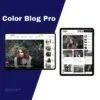 COLOR BLOG Pro Theme Lifetime