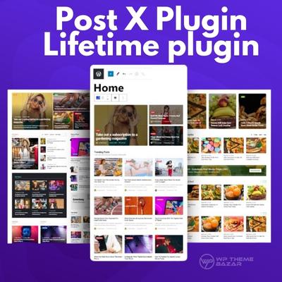Post X Plugin Lifetime
