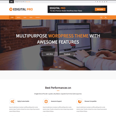 EDigital Pro Theme