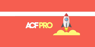 ACF Pro